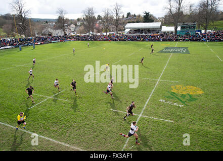 09/04/2016, il Melrose 7-a-side il rugby, il football, torneo, il Greenyards, Melrose, Scozia. Foto Stock