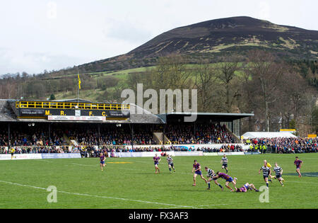 09/04/2016, il Melrose 7-a-side il rugby, il football, torneo, il Greenyards, Melrose, Scozia. Foto Stock