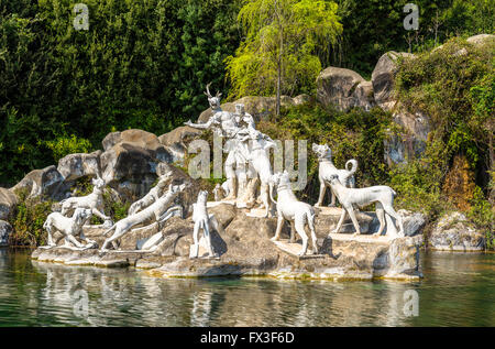 Fontana di Diana e Atteone presso il Palazzo Reale di Caserta Foto Stock