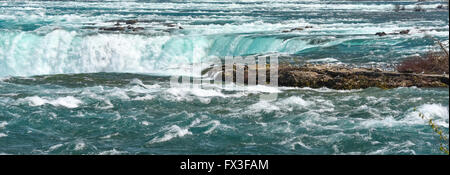 Gabbiani oltre il fiume Niagara e cade. Alcuni battenti, alcuni vicino al bordo d'acqua sul fiume Niagara. Foto Stock