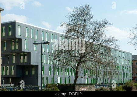 Köln, Sülz, Universitätsstrasse, Studierenden Service Centre (CSD), Architekten Schuster Düsseldorf Foto Stock