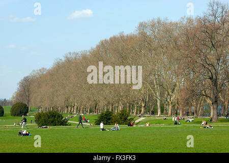 Köln, Sülz, Universitätsstrasse, Universität zu Köln, Grüngürtel. Foto Stock