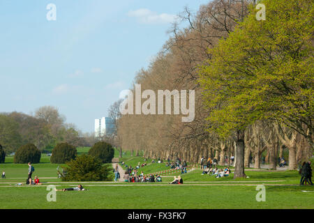 Köln, Sülz, Universitätsstrasse, Universität zu Köln, Grüngürtel. Foto Stock