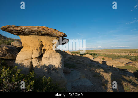 Un hoodoo sotto un cielo blu per iscritto-su-pietra Parco provinciale nel sud Alberta, Canada. Foto Stock