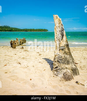 Il Carneiros Beach si trova nel Pernambuco, Brasile. Si trova lungo una ex fattoria di cocco. Foto Stock