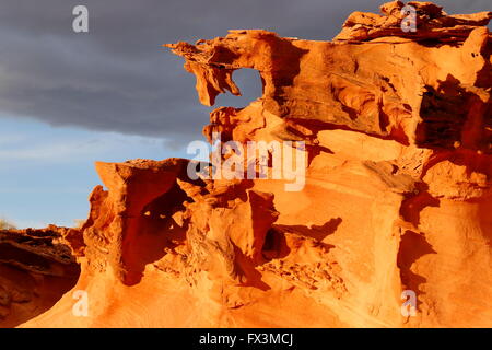 Un bel colore arancione tramonto su un eroso formazione di arenaria che assomiglia a un cavallo" a testa piccola Finlandia nei pressi di Mesquite, Nevada Foto Stock
