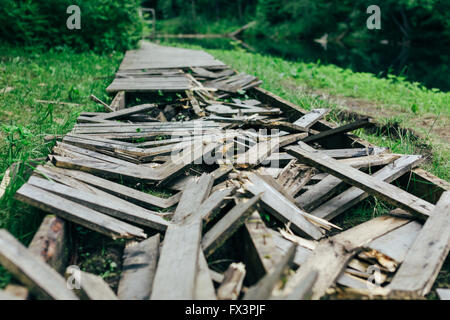 Vecchio distrutto boardwalk in foresta verde. Foto Stock