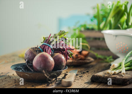 Fresco intero di barbabietole dal suolo di giardino, sul casale in legno tavolo in cucina. Copia spazio per il testo. Foto Stock