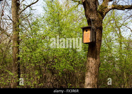 Arrotino manuale sulla struttura ad albero Foto Stock