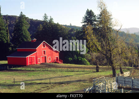 Granaio rosso circondato da boschi, con bianco recinzione di aia, in Santa Cruz Mountains, CALIFORNIA, STATI UNITI D'AMERICA Foto Stock