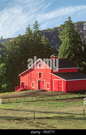 Granaio rosso circondato da boschi, con bianco recinzione di aia, in Santa Cruz Mountains, CALIFORNIA, STATI UNITI D'AMERICA Foto Stock