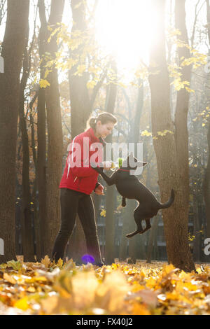 Giovane donna in autunno del parco treni shiny black dog. La donna indossa una camicia rossa. Il cane è il salto. Foto Stock