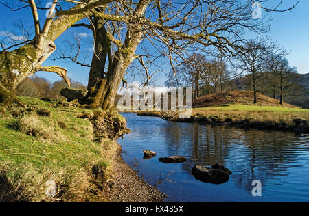 Regno Unito,Cumbria,Lake District,Fiume Brathay vicino a Elterwater Foto Stock