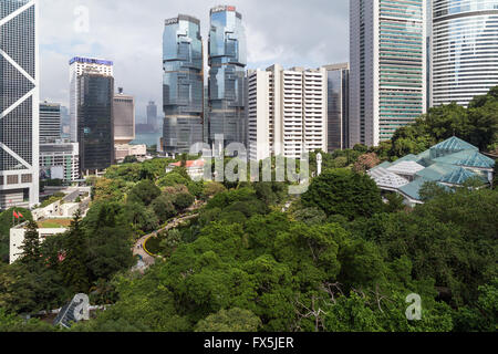 Lussureggiante Hong Kong Park e grattacieli e altri edifici dietro di esso a Hong Kong, Cina, visto dall'alto. Foto Stock