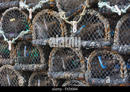 Aragosta bicchieri impilati sul Quayside formando un modello Foto Stock