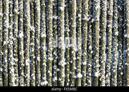 Staccionata in legno con la neve e il gelo attaccata Foto Stock