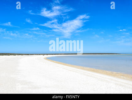 Shell Beach, Shark Bay, Australia occidentale, WA, ha cockle gusci (coquina) raggiungendo una profondità di 7 a 10 metri. Foto Stock