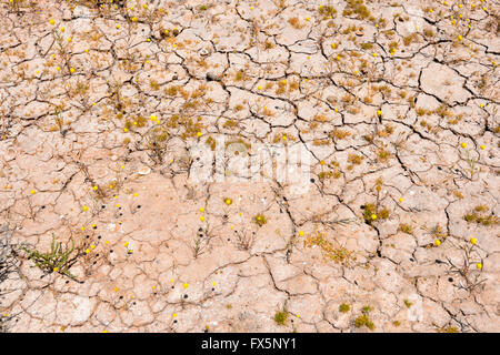 Massa rotto, a nord-ovest del Western Australia, Australia Foto Stock