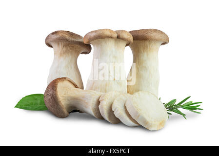 Re Oyster funghi tagliati a fettine per la cottura di isolati su sfondo bianco Foto Stock