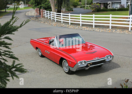 1963 Ford Thunderbird Sport Roadster Foto Stock