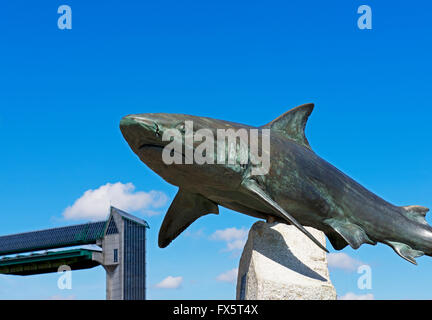 Statua di Grey Reef shark, al di fuori dell'attrazione profonda di Kingston upon Hull, Humberside, East Yorkshire, Inghilterra, Regno Unito Foto Stock