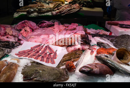 Pesce fresco pescato sul display Foto Stock