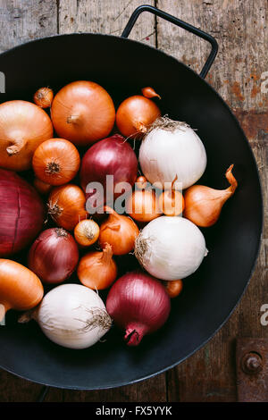 Mix di cipolle (giallo, rosso, bianco) in un vecchio pan Foto Stock