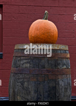 La zucca su una botte di vino, Connecticut, Stati Uniti d'America Foto Stock