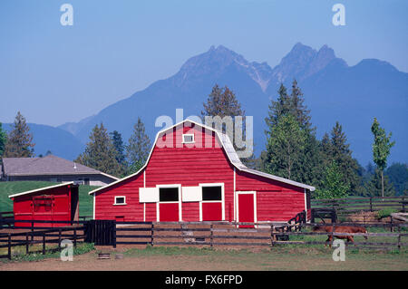 Granaio rosso in agriturismo vicino a Fort Langley, Fraser Valley, British Columbia, Canada - Golden Ears Mountain (Coast Mountains) dietro Foto Stock