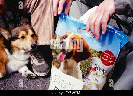Un cane curioso che guarda un sacchetto di cibo di prima qualità Happy Dog tenuto dal suo proprietario, mostrando attesa e fame Foto Stock