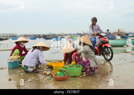 I pescatori vietnamiti ordina la loro cattura e vendono pesce sulla spiaggia, Vietnam Foto Stock