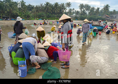 I pescatori vietnamiti ordina la loro cattura e vendono pesce sulla spiaggia, Vietnam Foto Stock