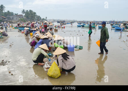 I pescatori vietnamiti ordina la loro cattura e vendono pesce sulla spiaggia, Vietnam Foto Stock