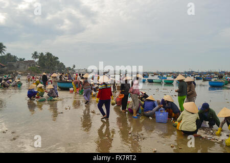 I pescatori vietnamiti ordina la loro cattura e vendono pesce sulla spiaggia, Vietnam Foto Stock