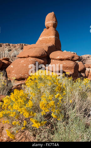 Macchia di gomma, goblin di arenaria e hoodoos a Little Egypt Geological Site, Bicentennial Highway area, a sud di Hanksville, Utah, Stati Uniti Foto Stock