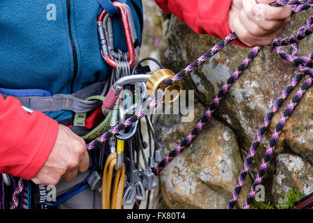 L'alpinista tirando una fune di arrampicata attraverso il dispositivo di assicurazione rappel discensore attaccato a un cavo moschettone per belaying. Regno Unito Foto Stock