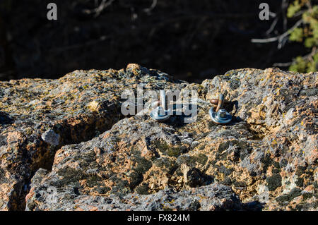 Bulloni di ancoraggio impostato nella roccia per assistere arrampicatori a Smith Rock State Park. Terrebonne, Oregon Foto Stock