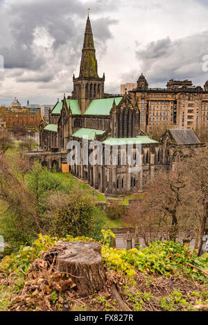 Glasgow St Mungo la cattedrale di visto dalla città di necropoli cimitero. Fondata nel XII secolo era uno dei pochi scozzese Foto Stock