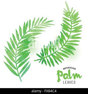 Acquerelli di foglie di palma. Vector effetto acquerello foglie di palmo. Illustrazione Vettoriale. Illustrazione Vettoriale