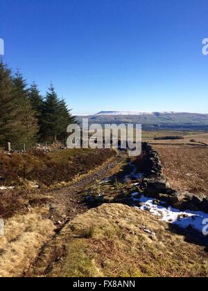 Pendle Hill viste attraverso il Ribble Valley su Grindleton cadde, Lancashire. Foto Stock