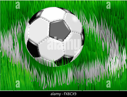Pallone da calcio in erba verde Foto Stock