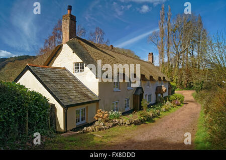 UK,Somerset,Dunster,cottage con tetto in paglia vicino Ponte Gallox Foto Stock