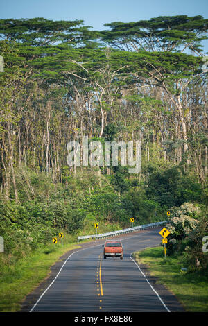 Stati Uniti d'America, Hawaii, Big Island , Puna District, carrello Foto Stock