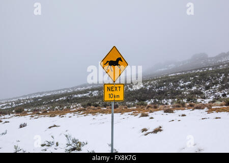 Australia, Nuovo Galles del Sud, montagne innevate, Kosciusko National Park, il traffico su strada segno avverte circa brumbies, cavalli selvatici Foto Stock