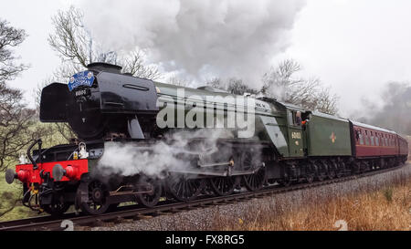 Il Gresley 4-6-2 Pacific locomotiva a vapore 60103 Flying Scotsman sulla North York Moors patrimonio linea ferroviaria vicino a Darnholme Foto Stock