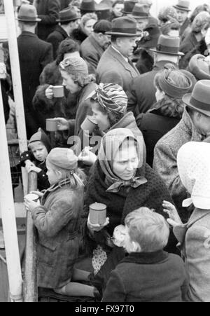 L'immagine della propaganda nazista raffigura i rifugiati volksdeutsche (etnia tedesca) provenienti dalla Jugoslavia che vengono forniti di bevande calde dopo essere arrivati sul piroscafo 'Urano' a Pressburg (oggi: Bratislava/Slovacchia). La foto è stata scattata nell'aprile 1941. Fotoarchiv für Zeitgeschichtee - SENZA FILI - Foto Stock