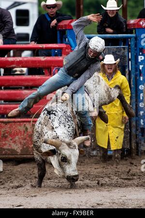 Oakdale, California, USA. Decimo Apr, 2016. Sarà Centoni di Hollister compete nel toro di equitazione concorrenza durante la Oakdale Rodeo in Oakdale, California, domenica, aprile, 10, 2016. © Andy Alfaro/Modesto Bee/ZUMA filo/Alamy Live News Foto Stock