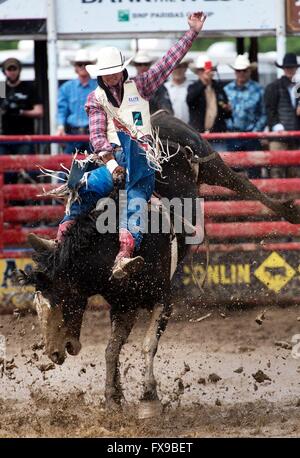 Oakdale, California, USA. Decimo Apr, 2016. Vassoio Chambliss III di Fort Davis, Texas compete in bareback riding concorrenza a Oakdale Rodeo in Oakdale, California, domenica, aprile, 10, 2016. © Andy Alfaro/Modesto Bee/ZUMA filo/Alamy Live News Foto Stock