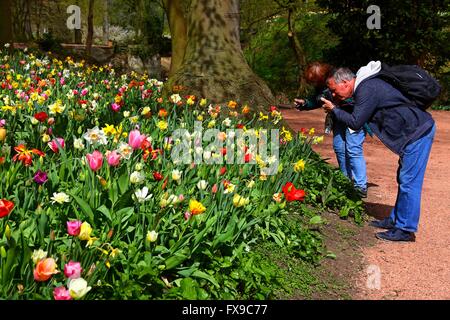 Bruxelles, Belgio. Xii Apr, 2016. I visitatori di scattare foto di fiori durante la Floralia Bruxelles, un fiore internazionale di fiera che si tiene nel Castello di Groot-Bijgaarden, west sobborgo di Bruxelles, Belgio, 12 aprile 2016. Oltre 1,7 milioni di piante di circa 550 specie floreali vengono visualizzati durante la Floralia Bruxelles, che va dal 6 Aprile al maggio6. © Gong Bing/Xinhua/Alamy Live News Foto Stock