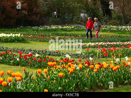 Bruxelles, Belgio. Xii Apr, 2016. I visitatori a piedi dai fiori durante la Floralia Bruxelles, un fiore internazionale di fiera che si tiene nel Castello di Groot-Bijgaarden, west sobborgo di Bruxelles, Belgio, 12 aprile 2016. Oltre 1,7 milioni di piante di circa 550 specie floreali vengono visualizzati durante la Floralia Bruxelles, che va dal 6 Aprile al maggio6. © Gong Bing/Xinhua/Alamy Live News Foto Stock